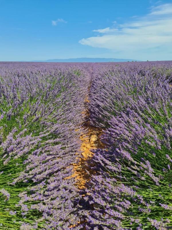 Escapades En Ventoux Villa Venasque Dış mekan fotoğraf